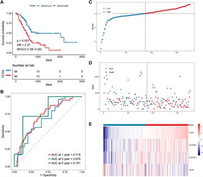 Comprehensive analysis reveals signal and molecular mechanism of mitochondrial energy metabolism pathway in pancreatic cancer